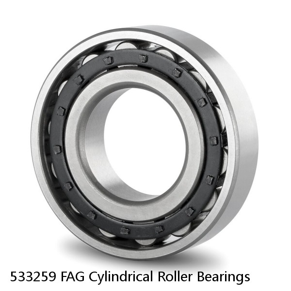 533259 FAG Cylindrical Roller Bearings