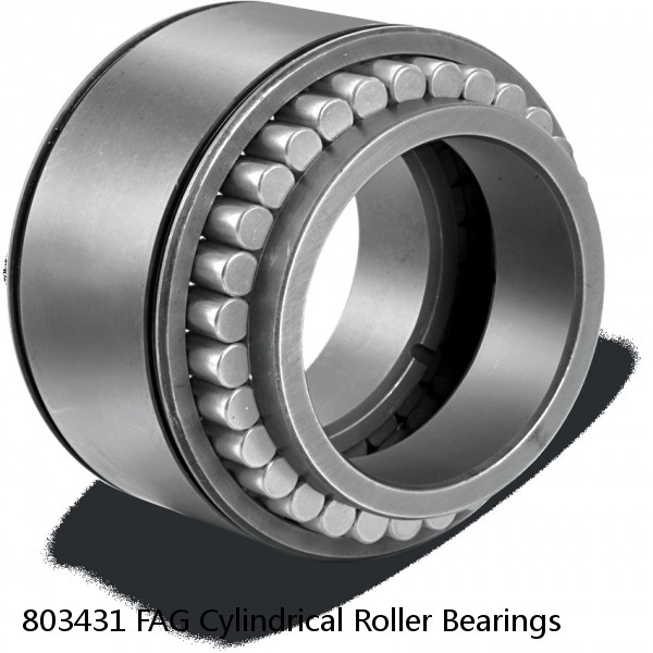 803431 FAG Cylindrical Roller Bearings