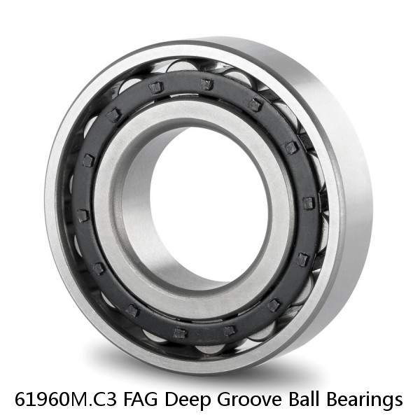 61960M.C3 FAG Deep Groove Ball Bearings