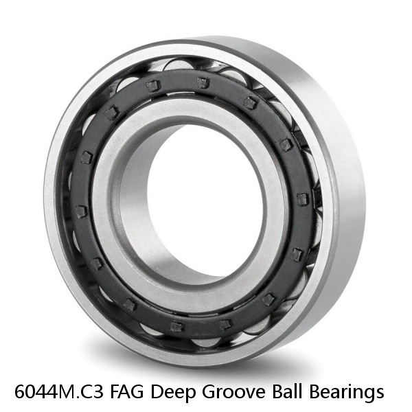 6044M.C3 FAG Deep Groove Ball Bearings