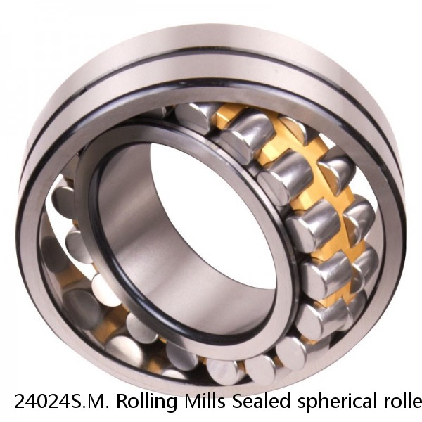 24024S.M. Rolling Mills Sealed spherical roller bearings continuous casting plants