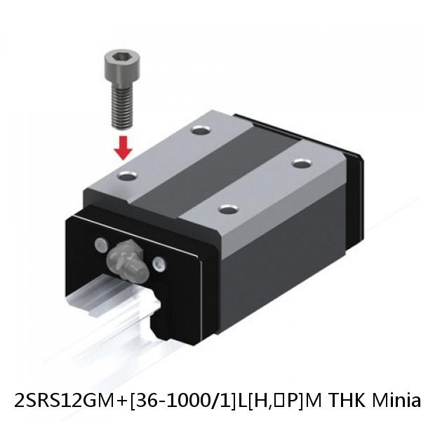 2SRS12GM+[36-1000/1]L[H,​P]M THK Miniature Linear Guide Full Ball SRS-G Accuracy and Preload Selectable