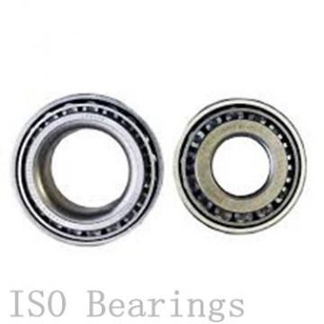 ISO 60/2,5 ZZ deep groove ball bearings