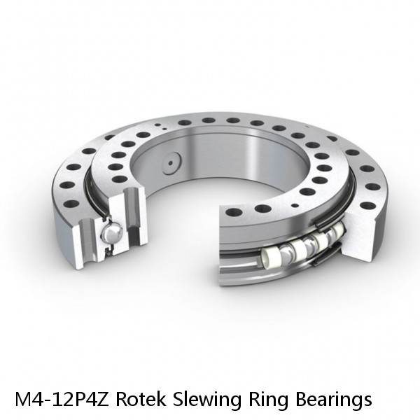 M4-12P4Z Rotek Slewing Ring Bearings