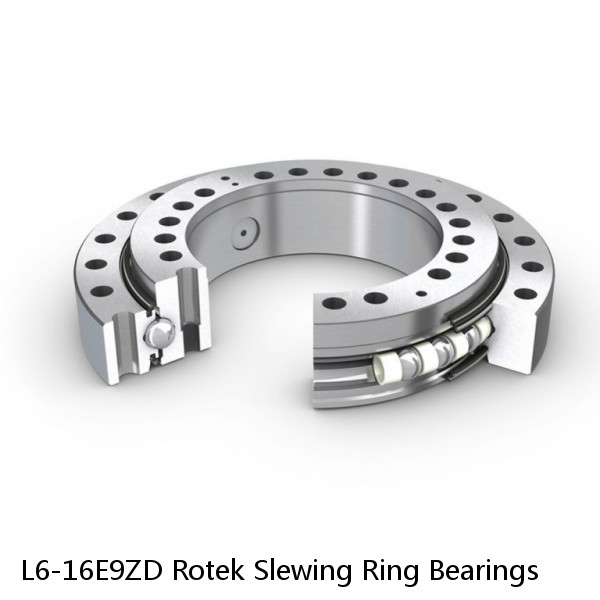 L6-16E9ZD Rotek Slewing Ring Bearings