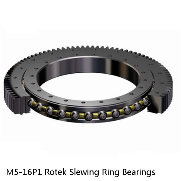 M5-16P1 Rotek Slewing Ring Bearings